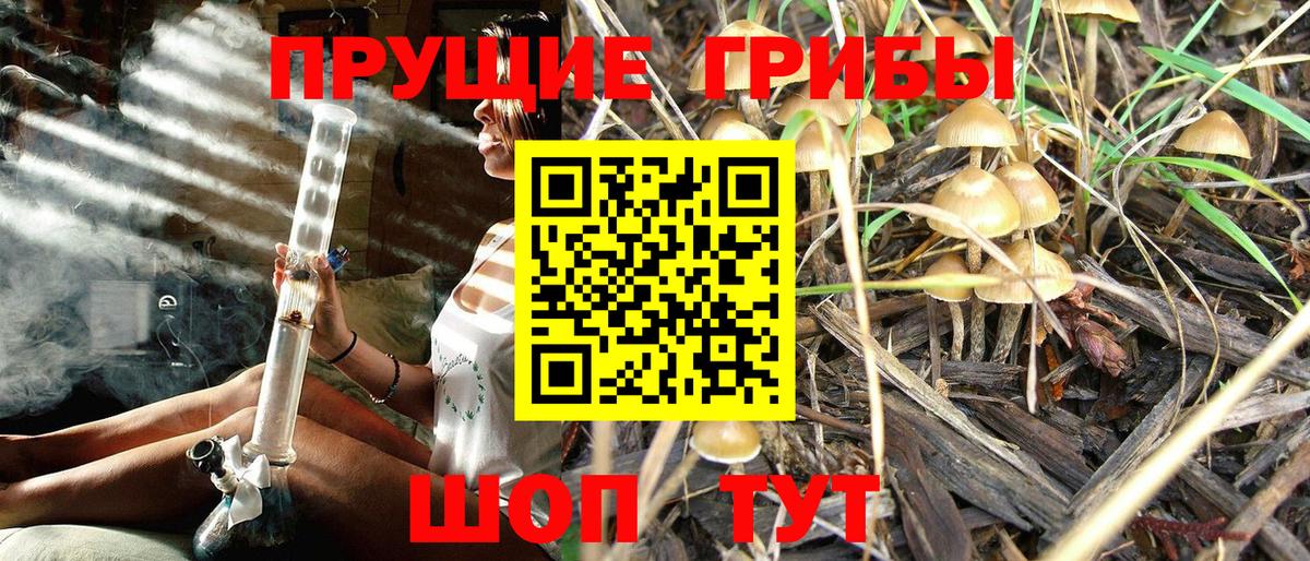 Псилоцибиновые грибы Magic Shrooms  Вход с VPN  Псилоцибиновые грибы Psilocybine cubensis  Новочеркасск 
